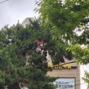 나오리농장 이미지