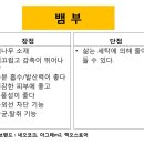 별속옷