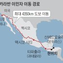 뉴욕카라반 이미지