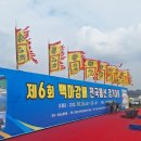 부여 용선 대회 북잡이 아드님 2년차 도전 후기_2025 백마강배