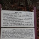 01-31 동구 이미지