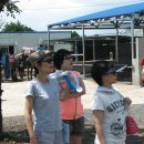 성읍승마장 이미지