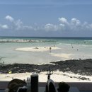 제주개과점 이미지