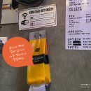 산호아나고꼼장어 이미지