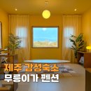 서삼중로 | 제주도 커플 감성 숙소 추천 독채 펜션 무릉이가 수영장