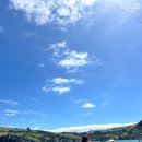 돌고래농장 | [엄마랑 뉴질랜드 자유여행] 제5화 : 아카로아 당일치기① 돌고래 크루즈 투어