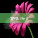 스토리매직 이미지