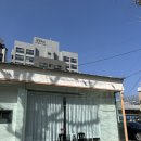 경기도 수원시 팔달구 권광로180번길 49 (인계동) | 수원 인계동꽃집 블룸앤프룻 트렁크프로포즈 꽃다발 대성공 후기