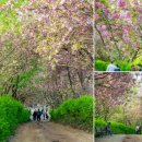 완산-131 이미지