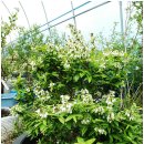 인터넷 탑 이미지