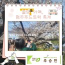 단운천교 | 음식과 벚꽃의 만남, 지금 여기는 청주 푸드트럭 축제
