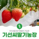 기선농장 이미지