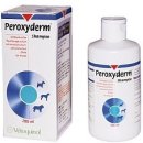 애견마트 이미지