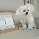 디지털 굿즈 만들기 이미지