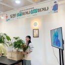 대구 플라워레슨 출강 후기 / 화병꽂이 클래스 with 메세지팩토리협동조합