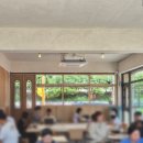 코튼캔디커피