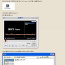 SKM을 AVI로 변환하자 이미지