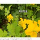 민들레샘물 지역아동센터 이미지