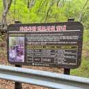 자동우량경보시설 이미지