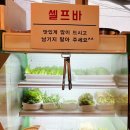 철순이네김치찌개 | [서울/자양] 어린이대공원맛집 상구네솥뚜껑삼겹살 화양점 그릴링서비스 무한리필 쌈채소 후기