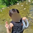 광치마을 | [강원도 양구] 아이들 물놀이 및 다슬기 포인트 광치계곡 방문 후기