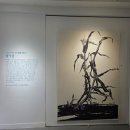 박순철 | 잡것들. 아르떼 숲