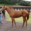 우승목장2 이미지