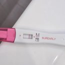 프라임약국 | ~임신 4주차) 얼리테스트기 진하기 비교 (슈얼리 얼리체크 프라임)