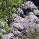 이동원의 가을 편지 이미지