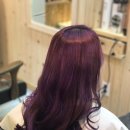 헤어퍼플 이미지