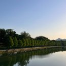 동광동할머니 원로의집 | 24살 후기 (1)