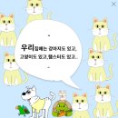 멤버쉽풀 이미지