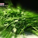 대명 임진강 매운탕 이미지