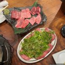 [마루] 오사카맛집, 야키니쿠 전문점 마루(MARU) 예약방문 후기 (구글예약 가능, 한국어메뉴판)