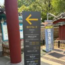 행주로 | 서울 근교 숨은 명소 행주산성 완벽 코스 정리