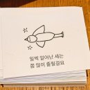 크로망 | 참참삼월 일상