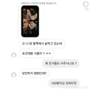 그루미 이미지
