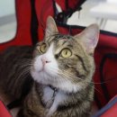 해 동물병원 이미지