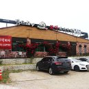 피자브라운 이미지