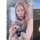 유행 이미지