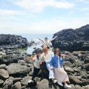 한마음 한뜻 농장 | 제주 여행 2박3일 카니발 기사 포함으로 여유롭게 즐긴 후기