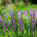 모범공원 화장실 이미지