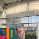 고양농장 | [고양] 다인이네 딸기체험 농장 26개월 아기와 체험후기