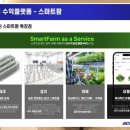 에이스팜 이미지