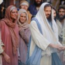 성도 농장 이미지