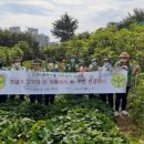 청학2동-10 이미지