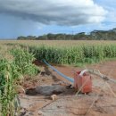 수자원농장 이미지