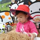 성현목장 이미지