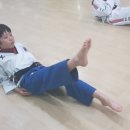 강석태권도 이미지
