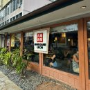 애비뉴 벅스(Avenue Bugs) | [DAY 4] 하와이 신혼여행 액티비티 추천!! 거북이 스노쿨링가서 돌고래 보고 오기(마루카메우동)